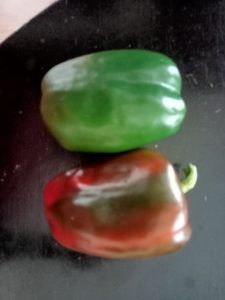 Peppers are the edible, fruit-bearing plants widely used as vegetables or spices in cuisines.