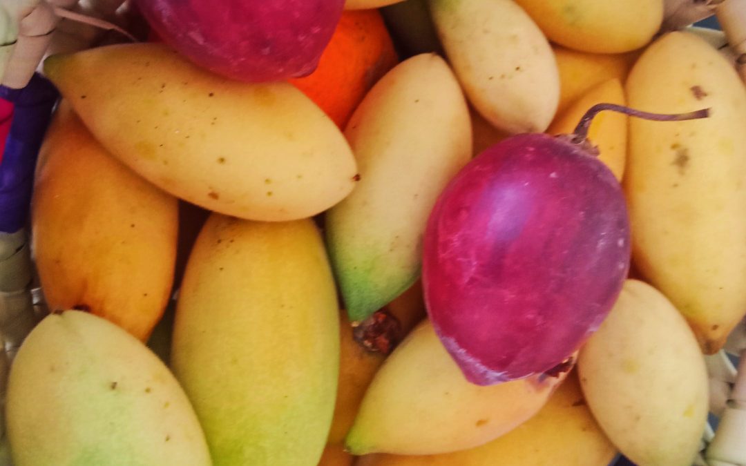 Why I do urban fruit farming
