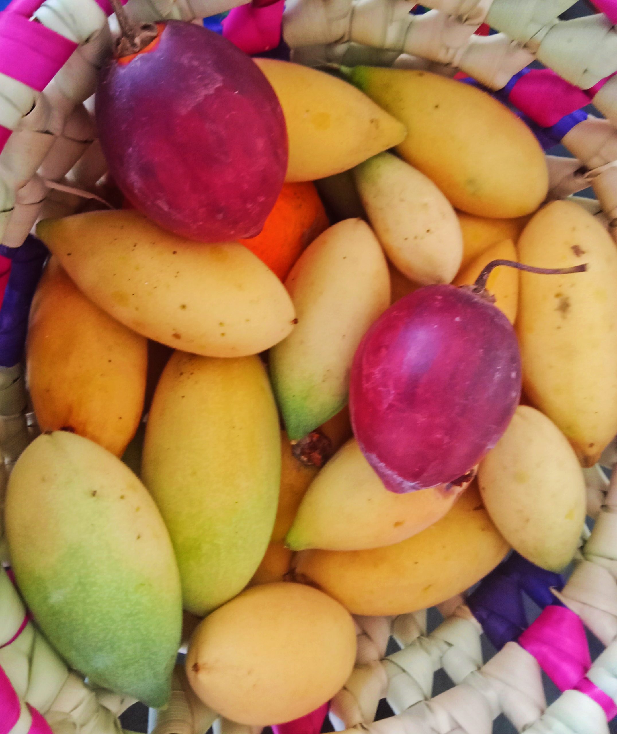 Urban fruit farming is good for humans and their environment