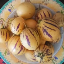 ripe pepino melon fruit
