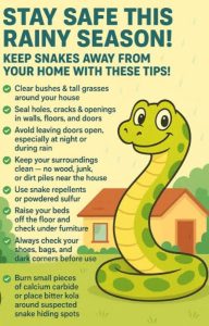 If you live in high-risk wildlife areas such as parts of Karen, Ngong Hills, Rongai or Lukenya, consider installing shade cloth or fine mesh along the base of your perimeter fence; it should stand at least 1 meter high and be buried 30 cm into the ground to prevent burrowing
