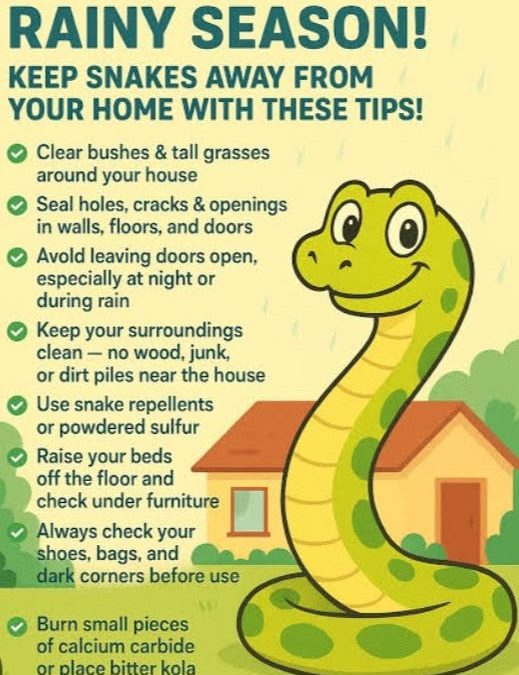 How to secure your home against snakes and wild animals during El Nino rains